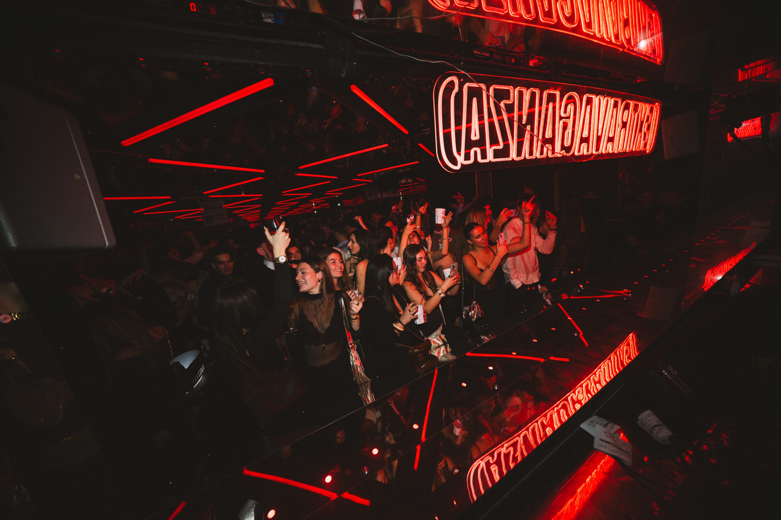 LA DAME PRIVATISATION